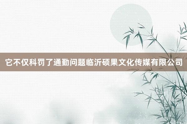 它不仅科罚了通勤问题临沂硕果文化传媒有限公司